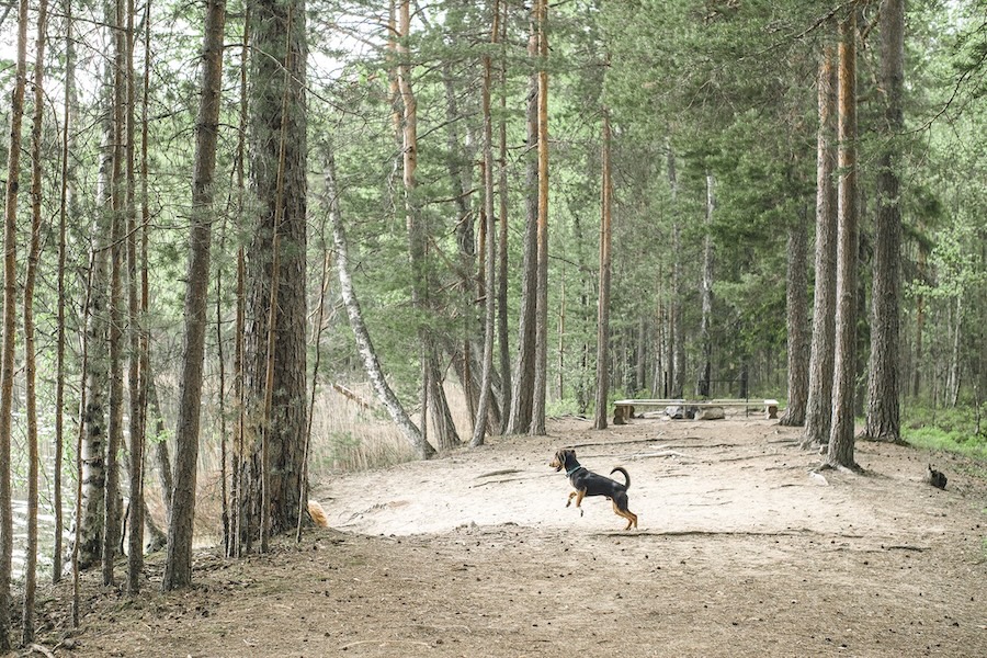 Hiking beach ketturiutta.