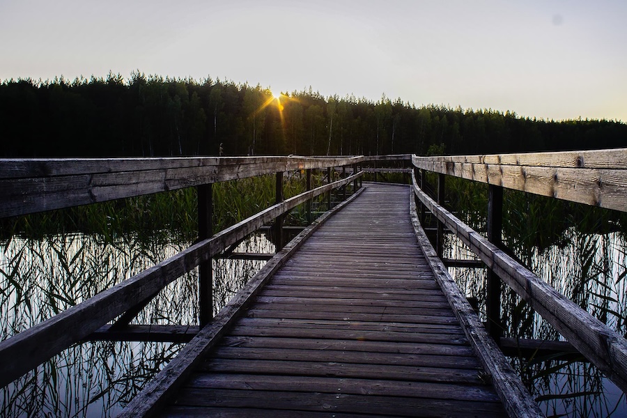 Hiking bridge repovesi.