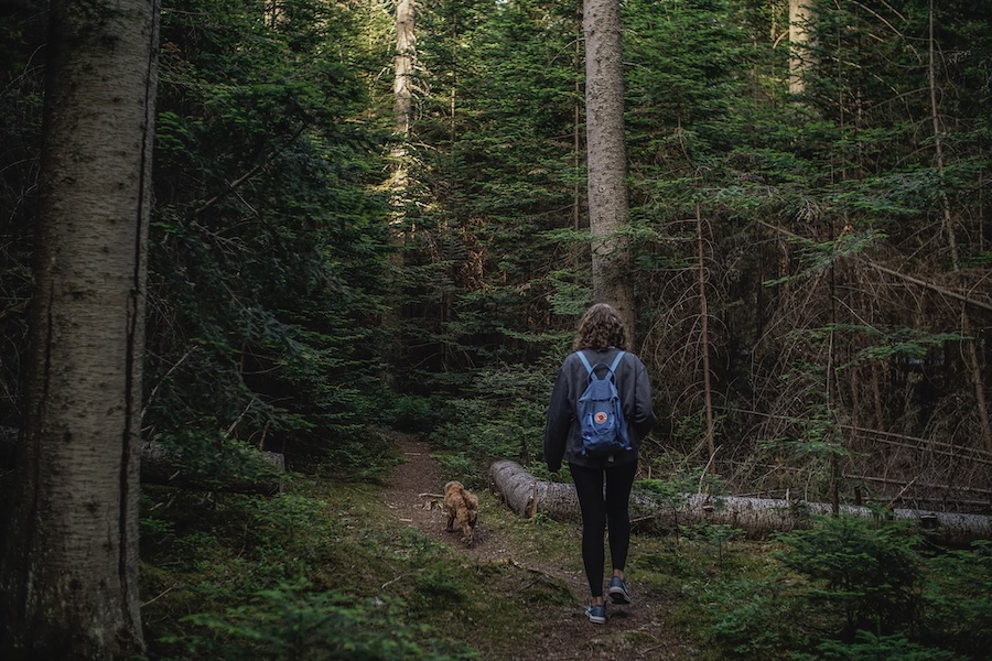 Hiking forest mustila.