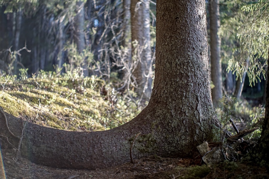 Hiking root heisanharju.