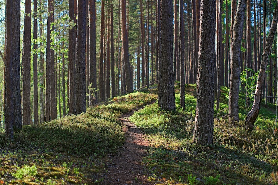 Hiking trail heisanharju.