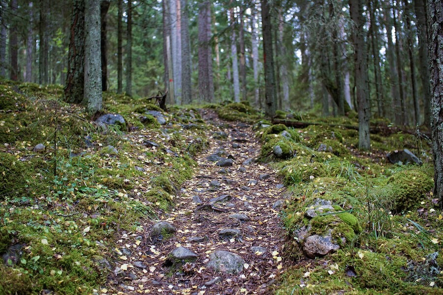 Hiking up Paijatsalo.